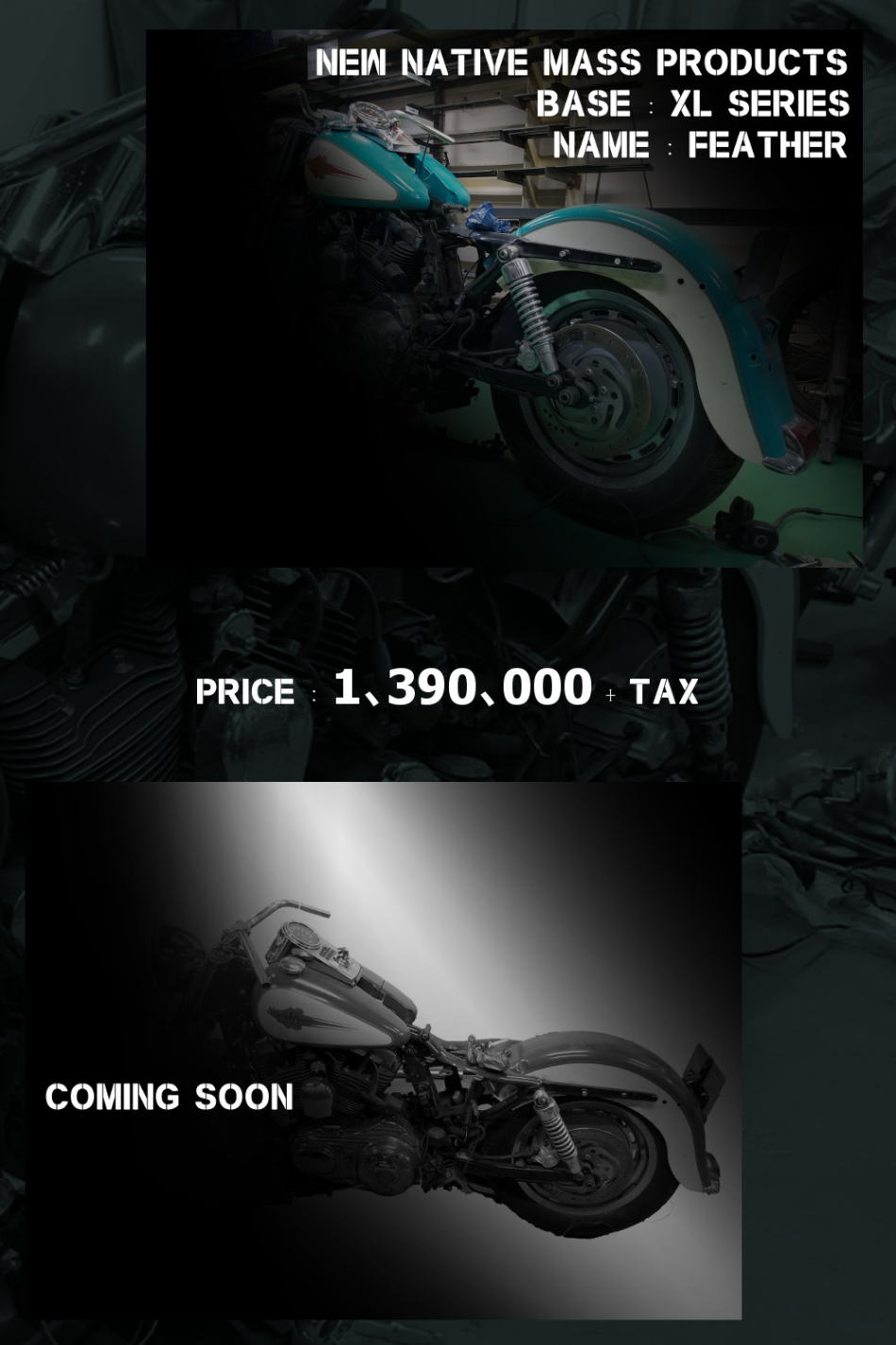 Featured image for feather insurance review