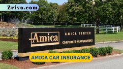 Featured image for amica car insurance online
