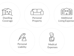 does lemonade have homeowners insurance