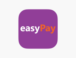 Easypay Application Revolutionizing Payment Solutions