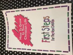 Christian Application Project Exploring Translation Insights