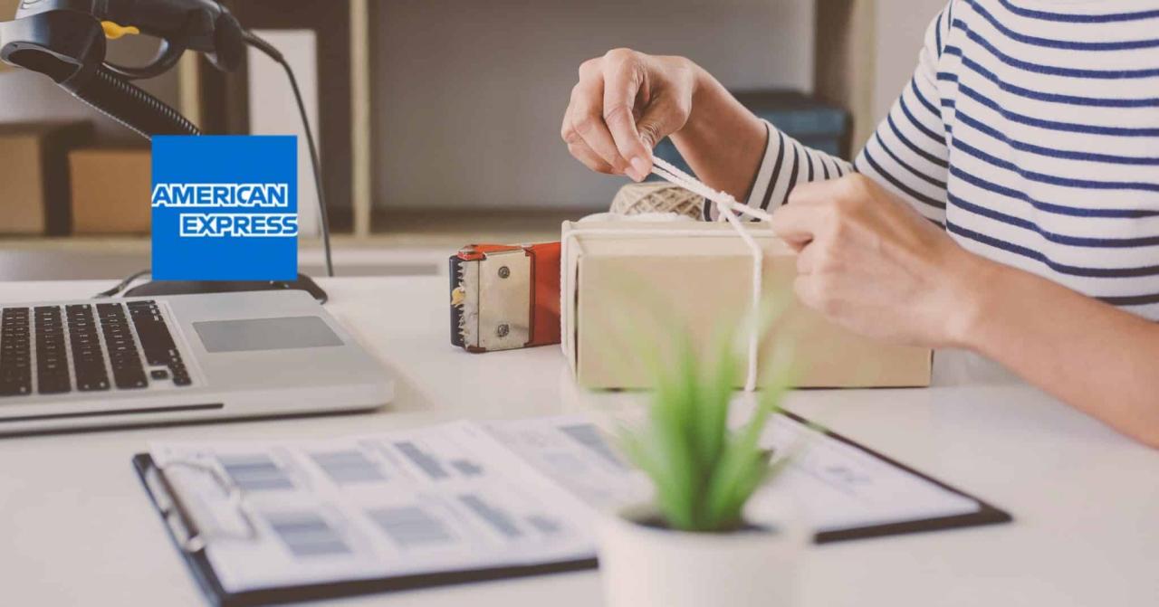 Corporate amex application