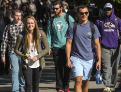 Umaine Transfer Application Made Easy For Students