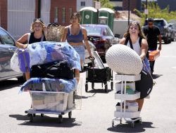 Gcu Transfer Application Your Gateway To New Opportunities