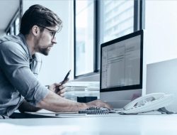 Application Developer Tampa Stands Out In Tech