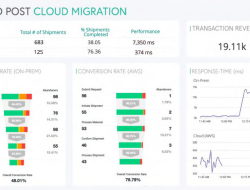 Performance Applicative In The Translation World