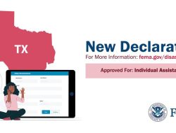 Fema Tsp Application Unlocking Benefits For You