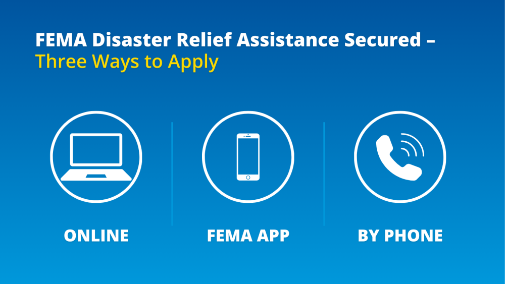 Fema tsp application