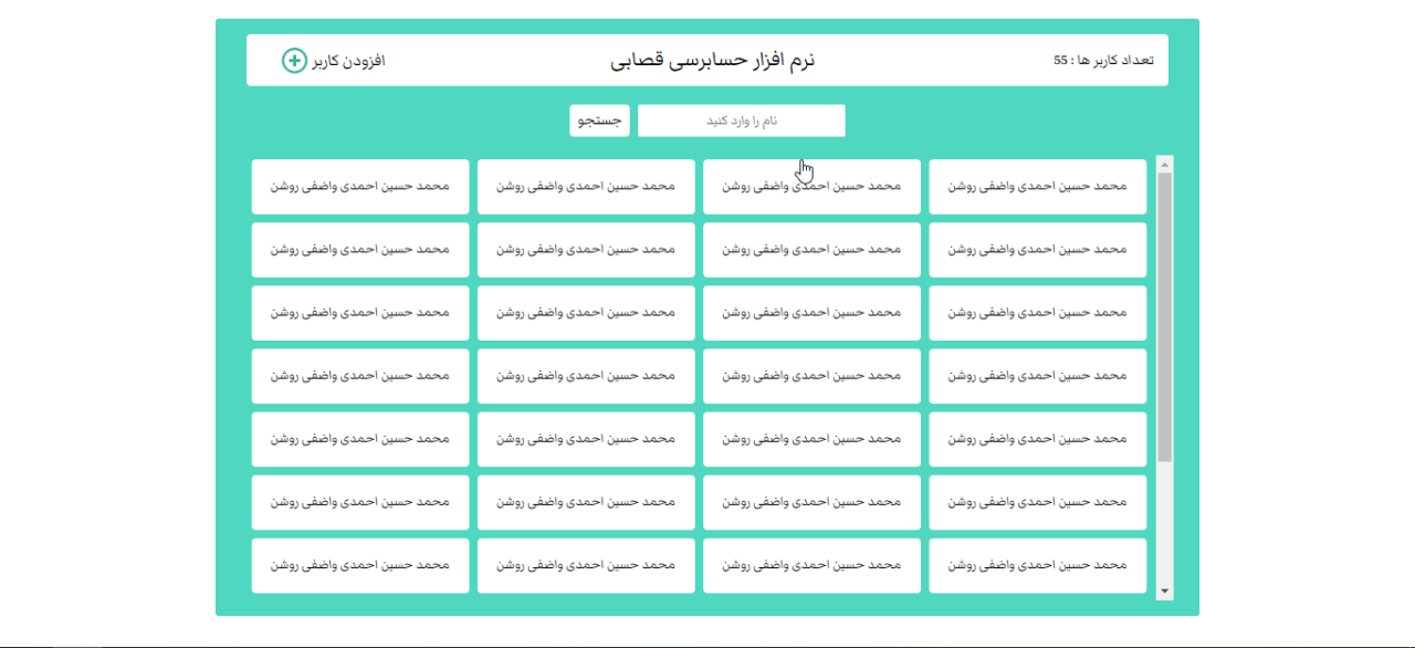 Computer based accounting software