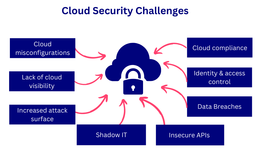 Cloud native security software
