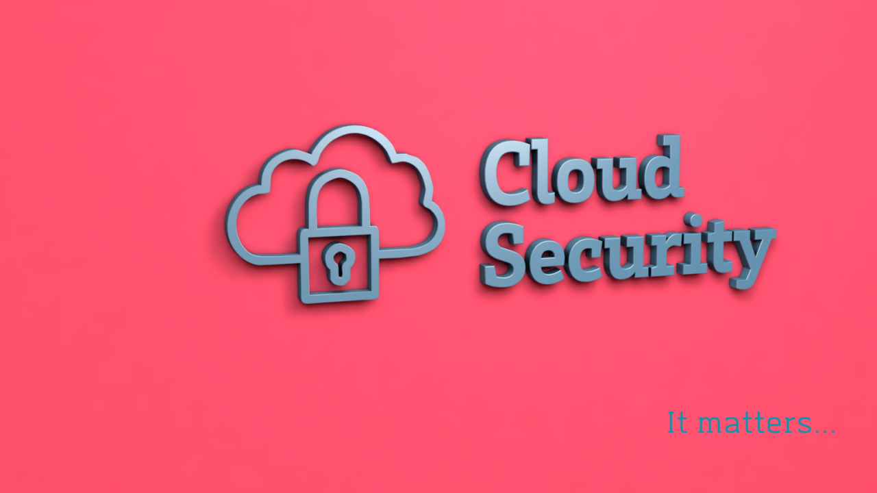 Cloud native security software
