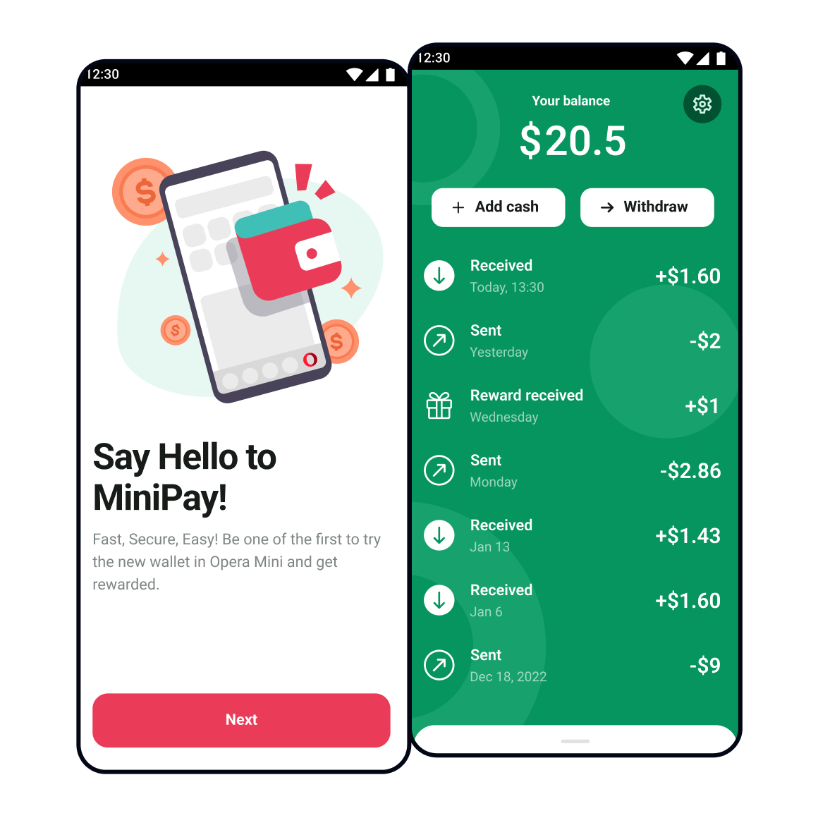 Opera accounts software